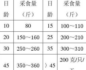 鸡的采食量为体重的多少 每只成鸡每日的采食量是多少为雏鸡采食量的多少倍急,多谢