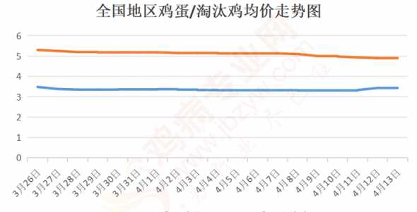 山东淘汰蛋鸡多少钱一斤 养土鸡生蛋,有多少利润