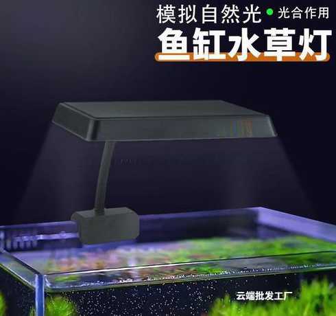 全光谱的鱼缸灯有什么用 鱼缸的灯光有什么作用