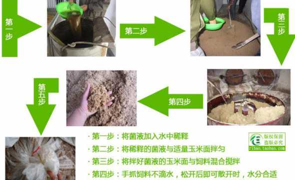 如何制作鸡粪发酵牛饲料 如何使用鸡粪发酵做饲料