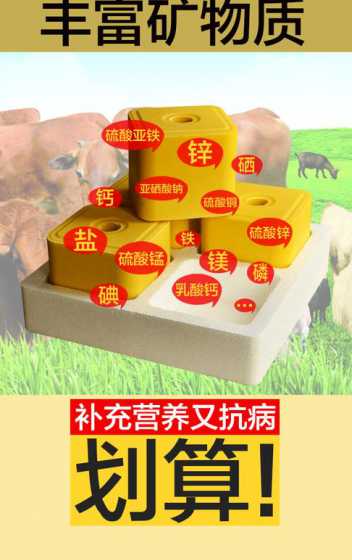 喂羊的舔砖都有什么好处 羊舔砖的好处