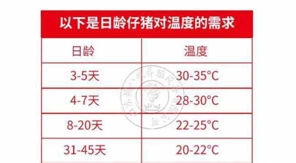 刚出生的仔猪温度是多少 刚出生的小猪仔温度多少度最适宜