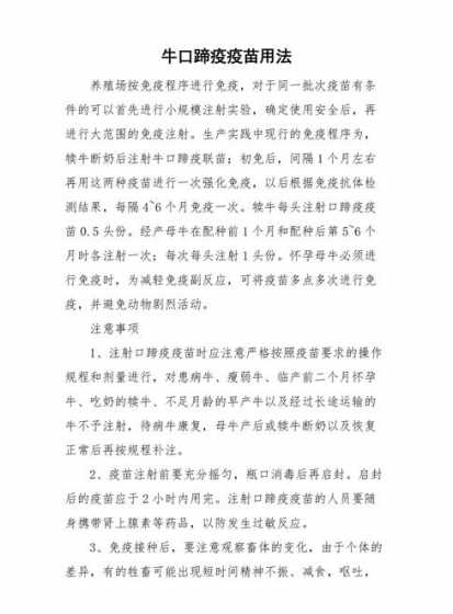 牛口蹄疫预防措施有哪些 怎样预防牛患口蹄疫