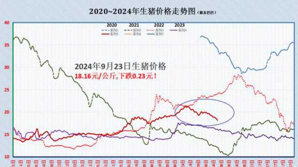 202412月23猪价 2024年养猪行情分析
