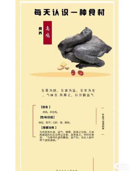 散养鸡要这样写什么好处 散养土鸡营养价值,吃散养土鸡有什么好处