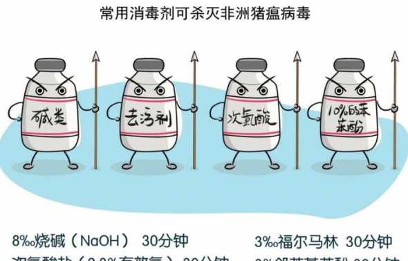 防非洲猪瘟用什么有效果 非洲猪瘟用什么药治疗