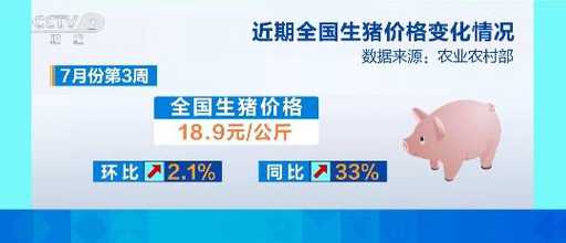 今日出栏毛猪多少钱一斤 现在的毛猪价是多少钱一斤
