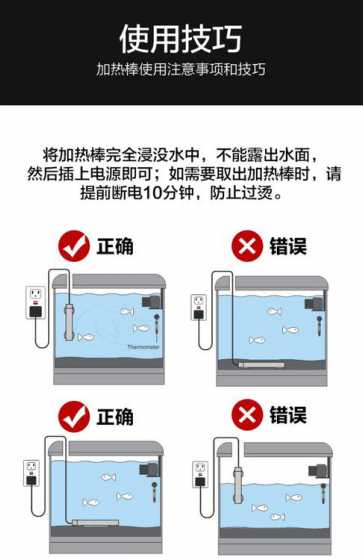 小缸造景如何处理加热棒 新手80草缸应该如何配置