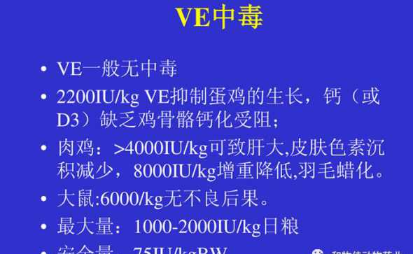为什么养鸡需使用维生素 养鸡为何给鸡吃食用油