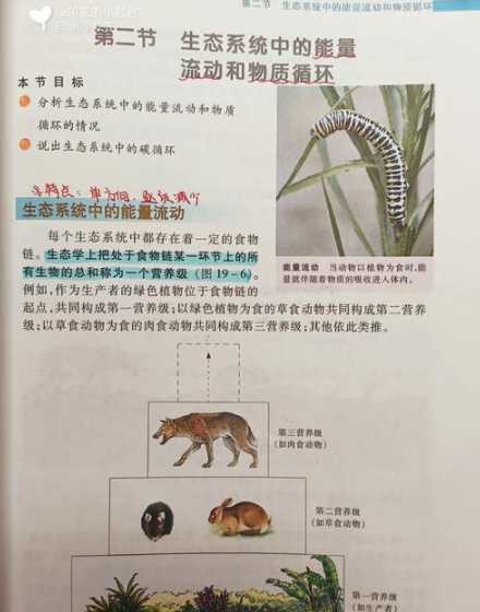 生物中适口性是什么意思 霉菌(一)是什么意思