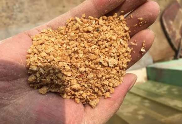菜籽饼喂鸡好还是豆粕好 菜籽饼与豆粕有何区别啊