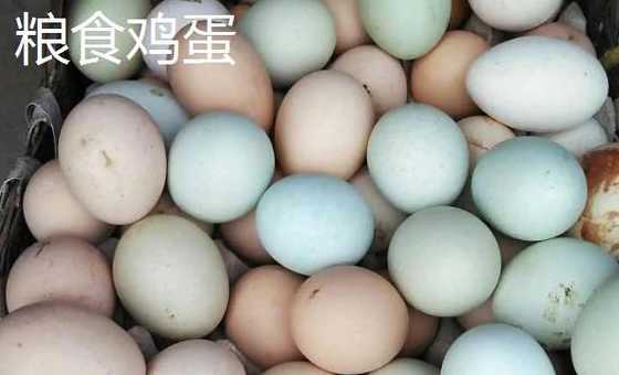 饲料鸡蛋对人有什么危害 饲料鸡蛋和粮食鸡蛋营养有差吗