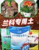 盆栽兰草用什么土比较好 兰花花盆适合种什么植物