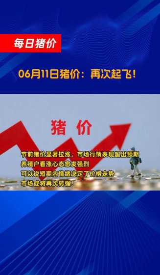 6月11号12号的猪价 2024年12月12猪价为什么暴跌