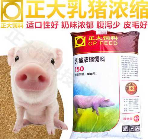 正大浓缩饲料对比是多少 正大151浓缩饲料如何配比