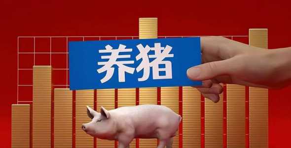 现在养一头母猪补贴多少 养50头猪国家补贴多少