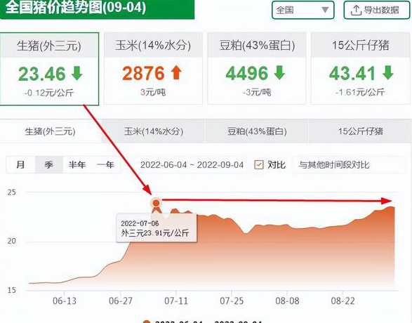 2024年4月猪价预测 2024猪价走势专家预测