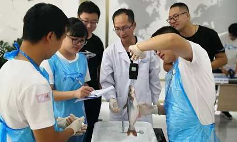 如何说服饲料企业配方师 饲料配方师是怎么炼成的