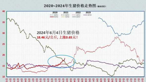 醴陵猪价格今日猪价走势 今天全国猪价上涨今日猪猪价格今日猪价格全国走势