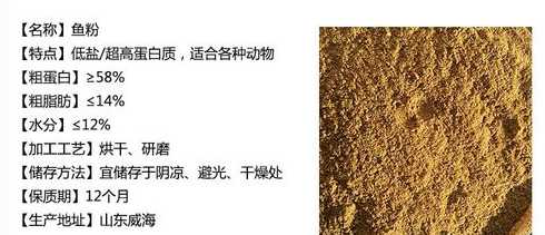 蛋鸡加鱼粉有什么好处 使用浓缩饲料喂猪有什么好处