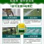 玉米秆发酵饲料能喂鹅吗 玉米秸秆可以喂鹅吗