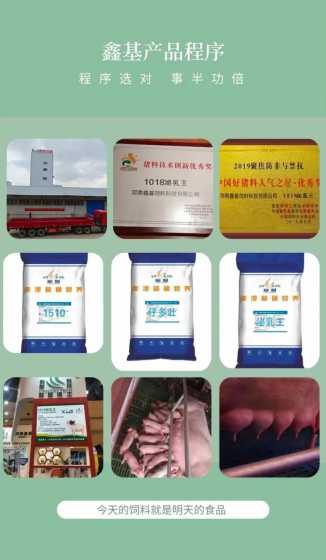 养母猪不放预混料可以吗 养猪的预混料是什么