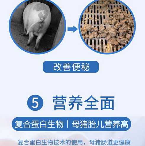 母猪快下猪了吃什么饲料 请问母猪在下猪仔提前多少天喂母猪料是最佳时期
