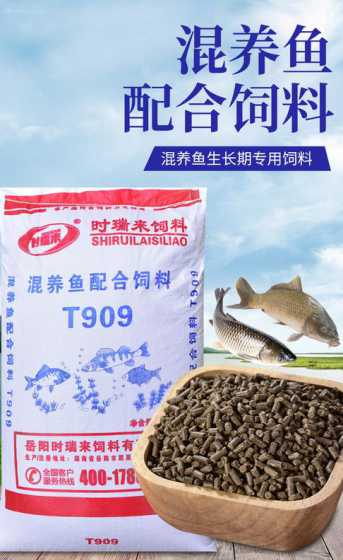 热带鱼养殖场用什么饲料 热带鱼用什么饲料好