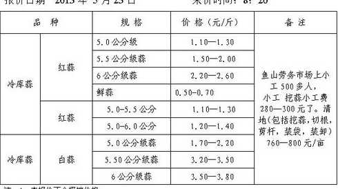 2024金乡鲜蒜什么价 金乡大蒜最新价格是多少