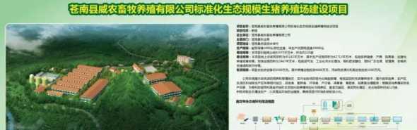 建一个20猪场投资多少 建一个存栏20000头猪的自动化养猪场总投资需多少钱
