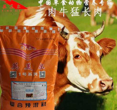 什么料才能让牛吃的干净 养肉牛喂什么料长的快