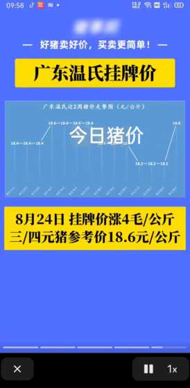 武威猪价格今日活称猪价 全国今日猪价多少