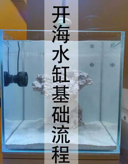 海水缸开缸需要什么东西 如何养水开缸