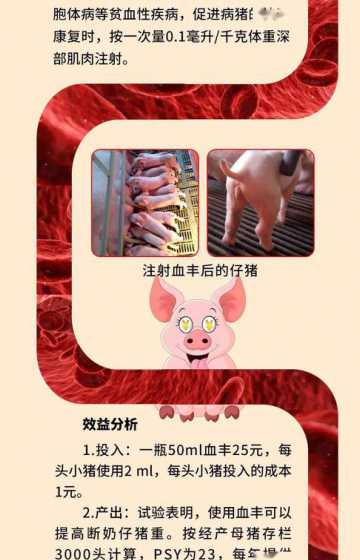 在给小猪补铁是什么意思 仔猪打了补铁针全死了,补铁针打在小猪的什么位置