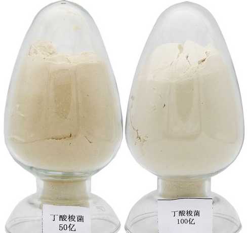 农业农村部饲料添加剂 新饲料和新饲料添加剂管理办法(2024修订)