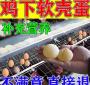蛋鸡的饲料量多少钱一个 一只蛋鸡一天吃多少饲料