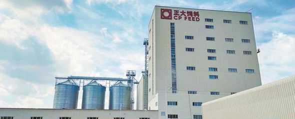 正大集团总部饲料技术部 正大集团怎么样