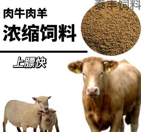 羊饲料和牛饲料的区别 牛羊吃草壮还是吃饲料壮为什么