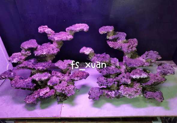 海缸50方缸用多少活石 海缸活石有什么用
