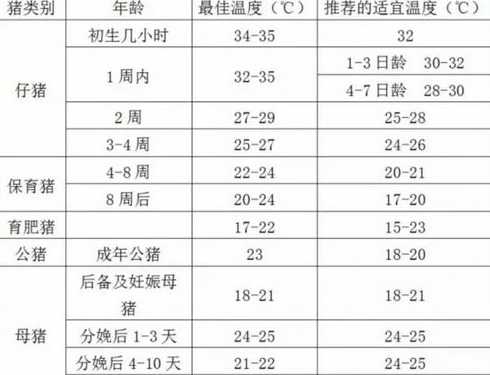 出生二十天仔猪温度多少 出生20天左右的仔猪拉稀,诱因是啥