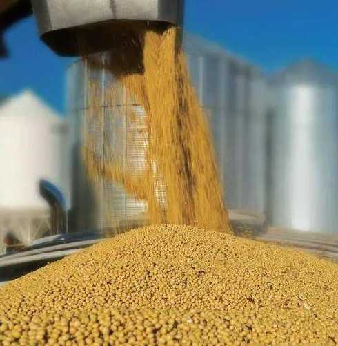 豆粕多长时间可以发酵好 请问一下豆粕怎么发酵当肥料