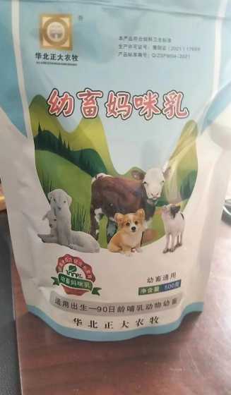 牛羊饲料适口性检测方法 饲料发酵剂发酵鸽子粪喂猪的方法和好处