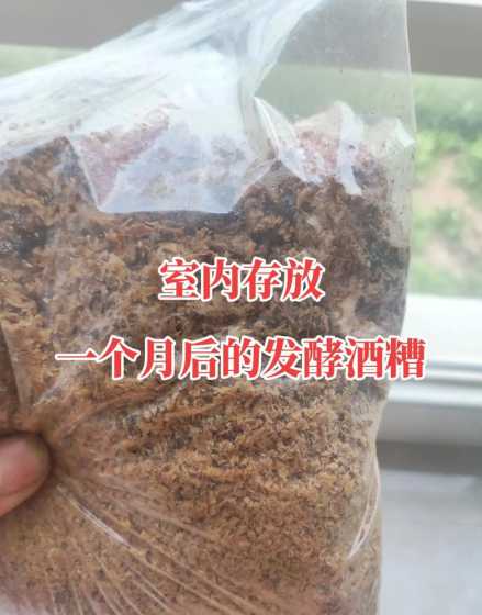 酒糟再发酵可以喂养什么 酒糟喂牛:酒糟可以喂牛吗,酒糟喂牛有什么好处