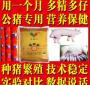 公猪50公猪喂什么饲料 种公猪需要什么样的饲料