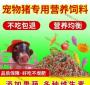 小猪全价饲料多少钱一吨 猪吃一斤饲料 合多少钱怎么算啊