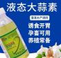 大蒜加饲料中有什么作用 猪饲料加大蒜素有什么好处