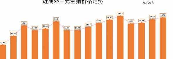 全国明日生猪的价格走势 明日猪价将会如何变化