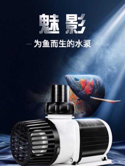 造浪泵什么牌子的比较好 造浪泵会不会把鱼累死,养什么鱼不用造浪泵
