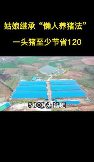 正大代养猪的利润多少钱 襄阳正大养猪场试用期能拿多少钱