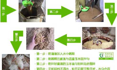 鲜豆渣按多少比例来喂猪 豆渣喂猪成本计算